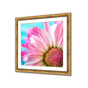 Square frames for pictures