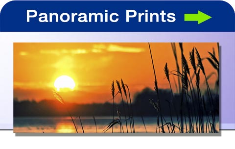 Panoramic prints