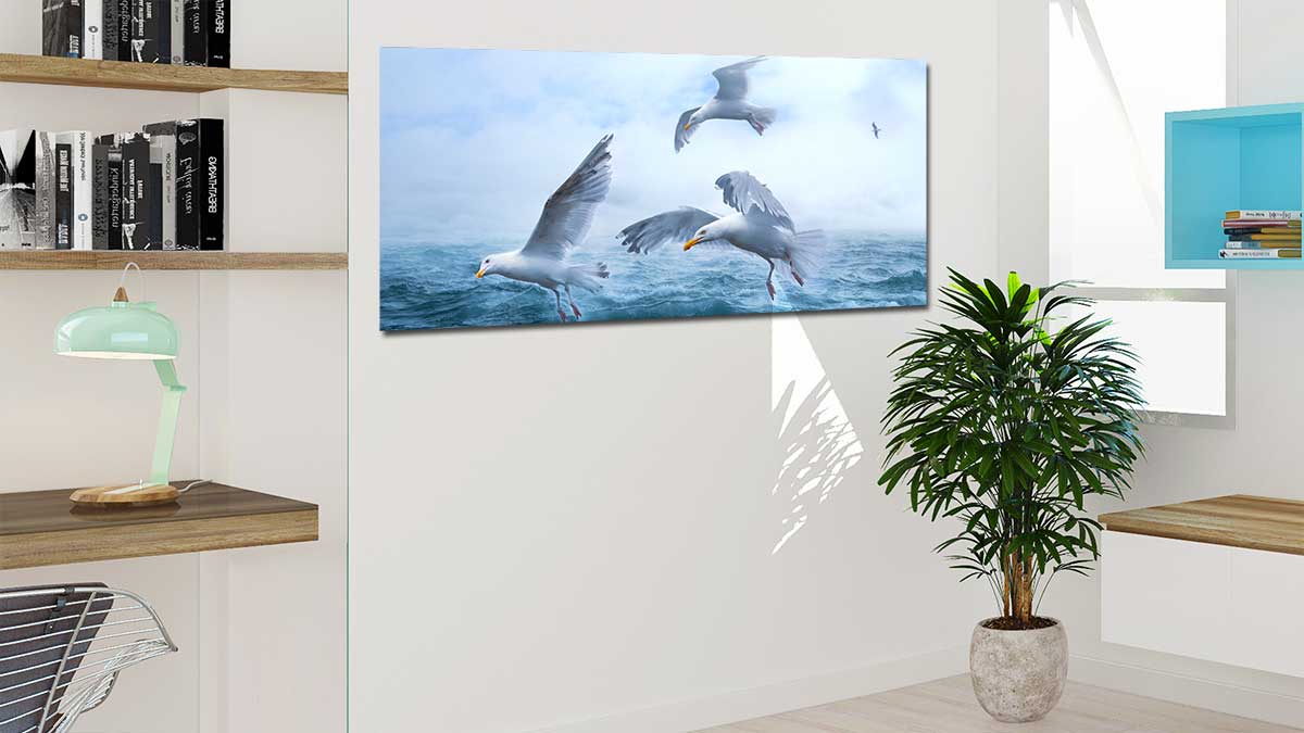 Panoramic poster of gulls over a seascape on an office wall