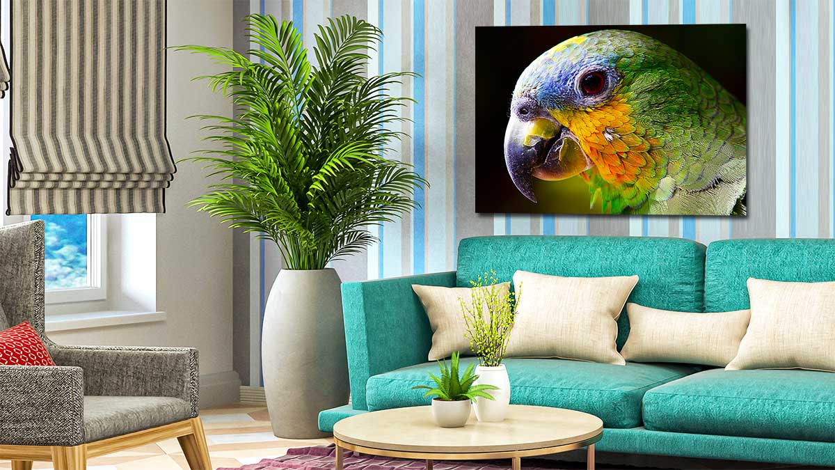 Picture of a parrot on a large poster hung above a matching sofa