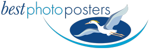 Best Photo Posters