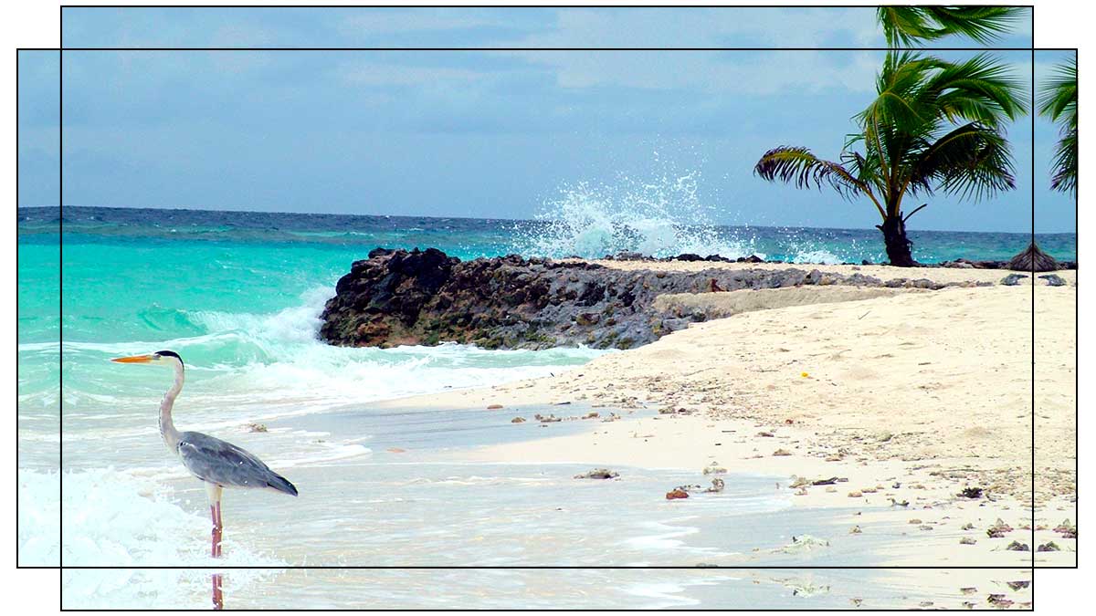 Diagram showing a Mirror on frame sides style of canvas print.