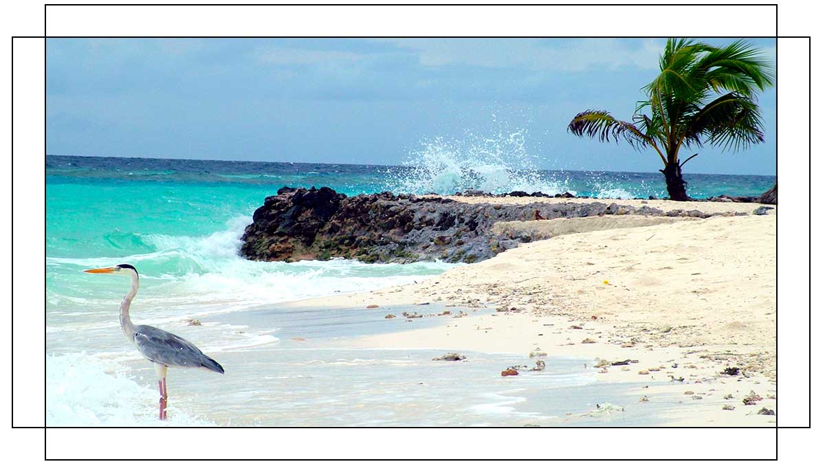 Diagram showing a Plain on frame sides style of canvas print.