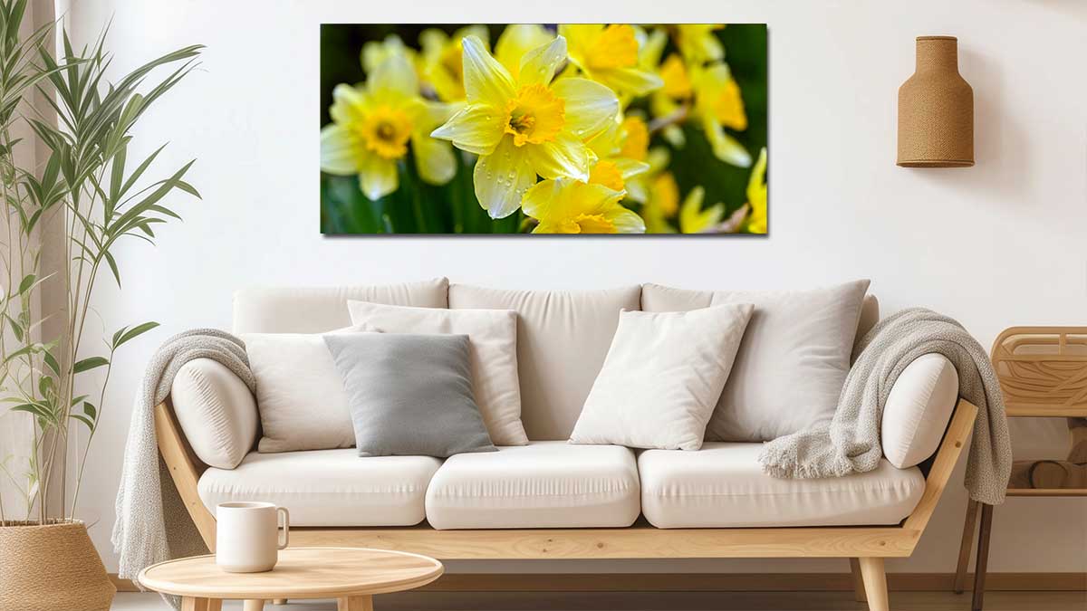 Picture of daffodils on a panoramic poster above a sofa