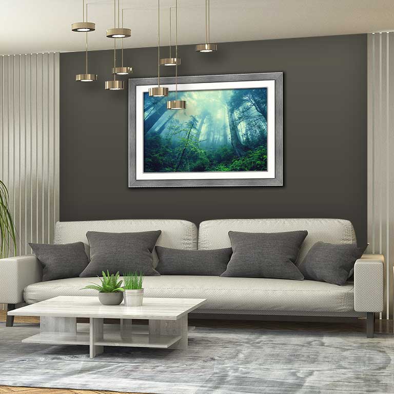 Framed poster of a forest hung on a sitting room wall