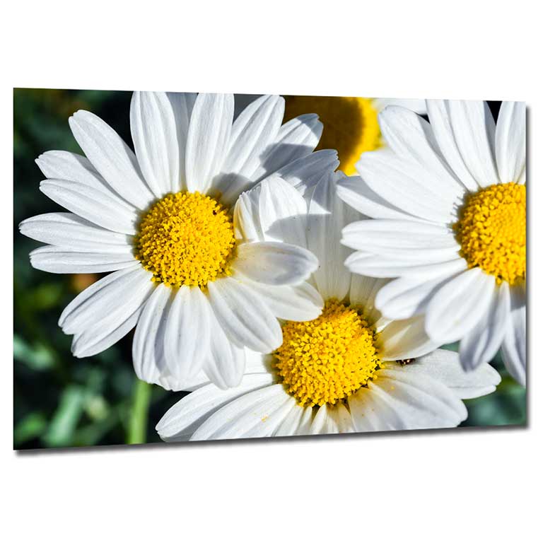 Print featuring a photo of a hiker on top of a mountain looking over a valley