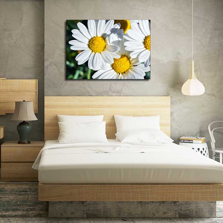 Picture of daisies printed on a photo poster and hung on a bedroom wall