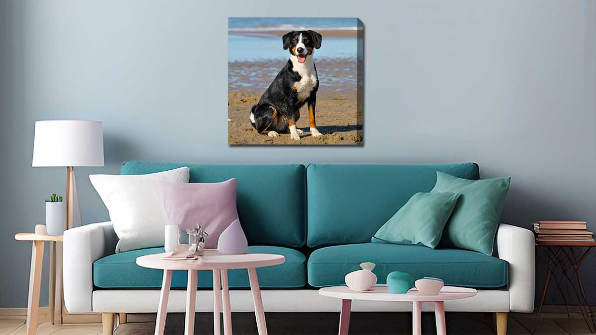 Canvas print of a pet dog sitting on the sand by the seaside