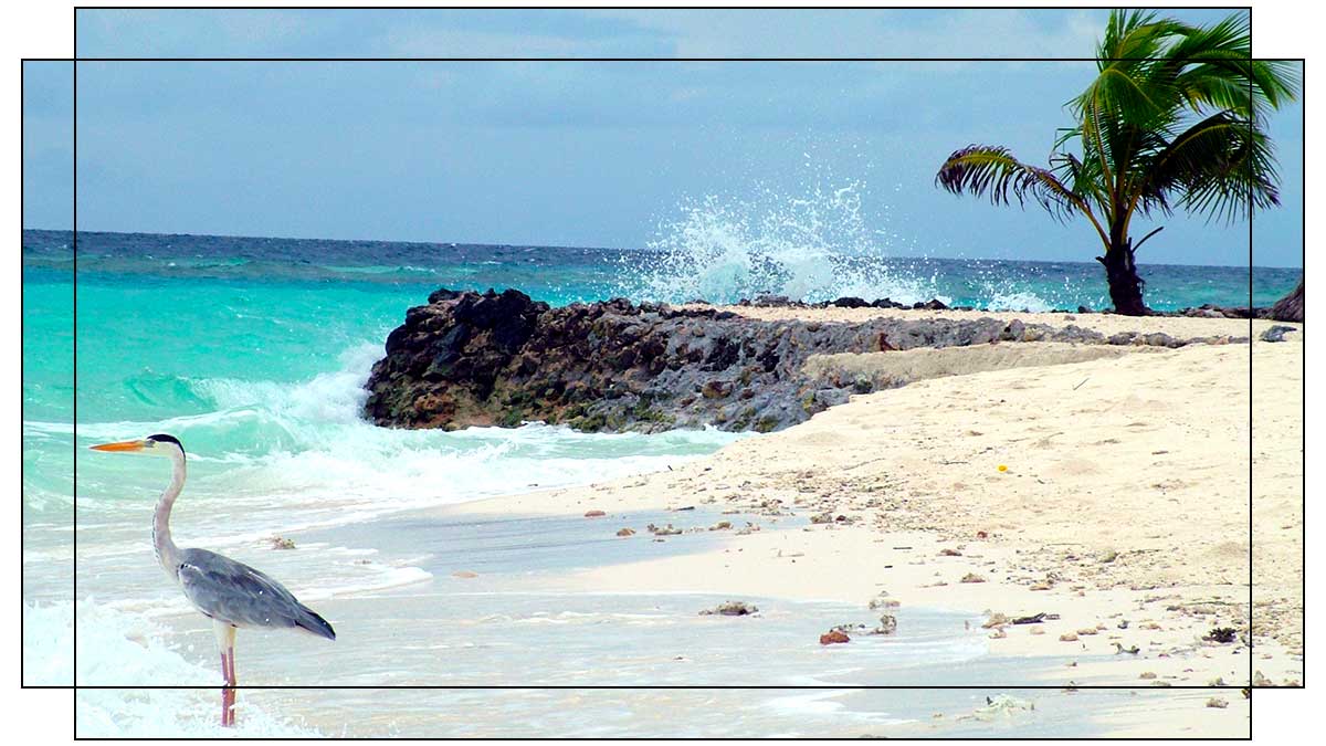 Diagram showing a Wrap photo over frame sides style of canvas print.