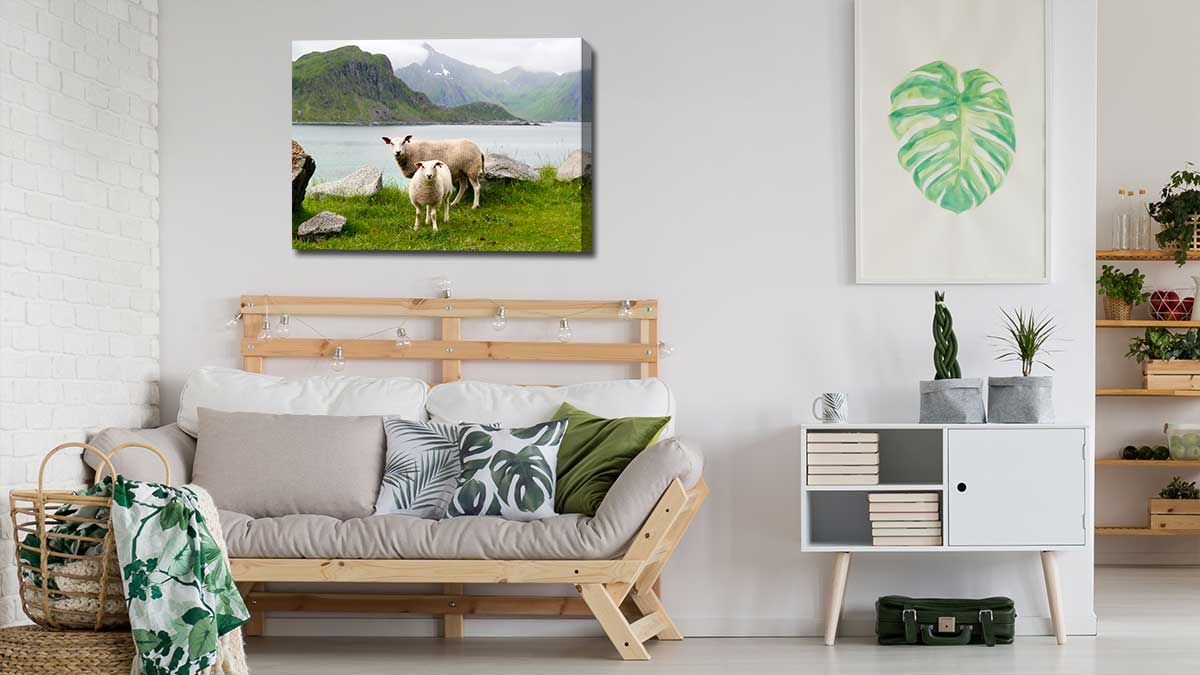 Photo canvas featuring a picture of two sheep in a spring landscape hanging above a settee with green cushions