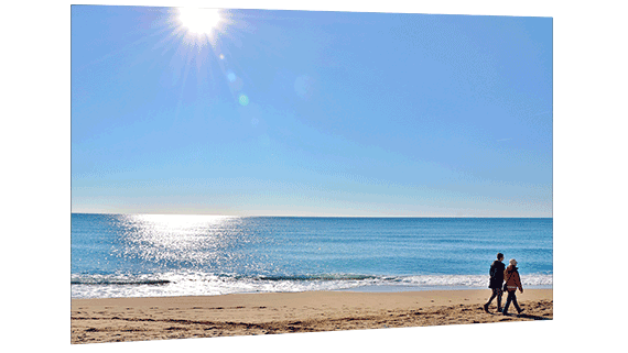 Picture of a perfect sunny day by the seaside