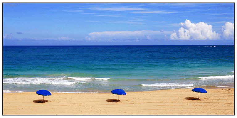 Holiday picture on a poster