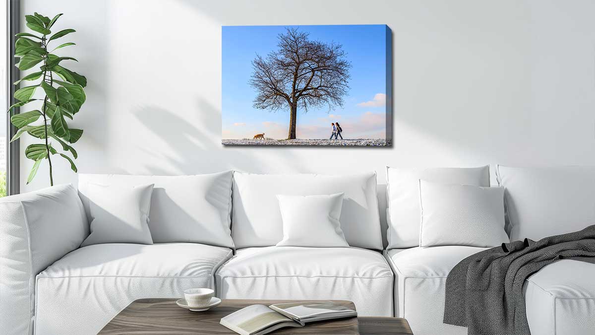 Snow scene from a weekend walk printed on canvas and hung above a settee