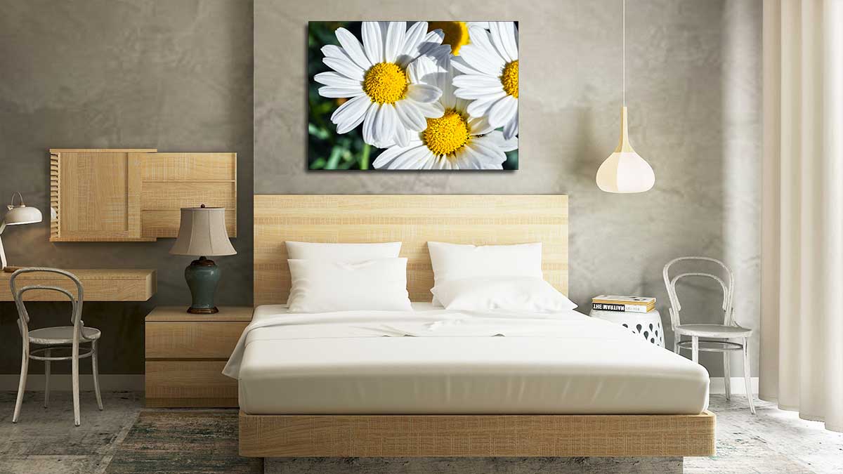 Picture of daisies printed on a photo poster and hung on a bedroom wall