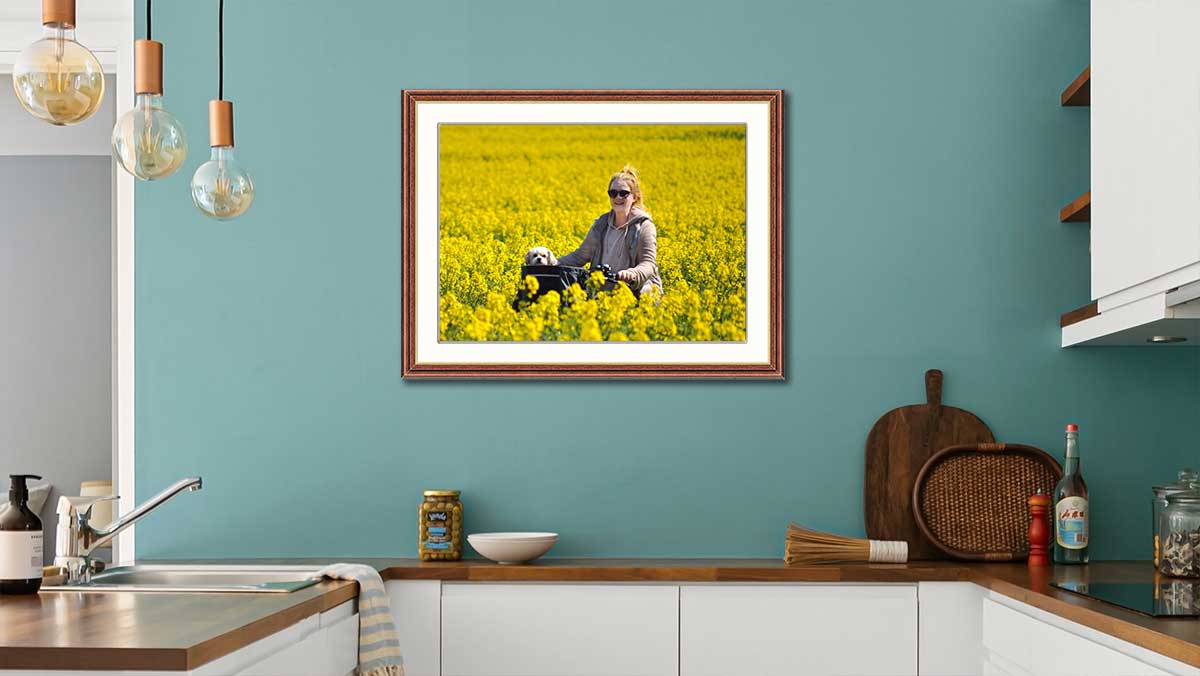 Framed photo of a young woman and her pet dog cycling through a field of rapeseed in flower