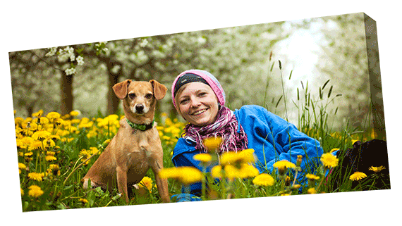 Framed poster of a woman with her dog posing in a field of wild dandelions